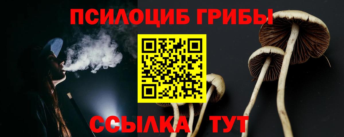 Сланцы  Псилоцибиновые грибы ЛСД  Вход с VPN 
